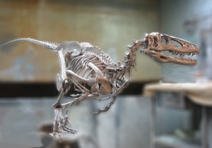 cropped-deinonychus-skeleton-sculpt.jpg