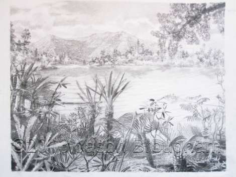 Tiaojishan Formation plants, Middle Jurassic