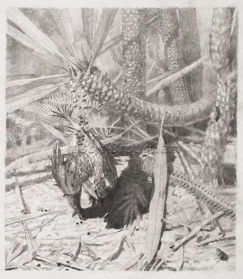 Xiaotingia in thicketwtmk