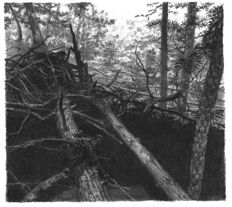 downslope charcoal forest Yixian